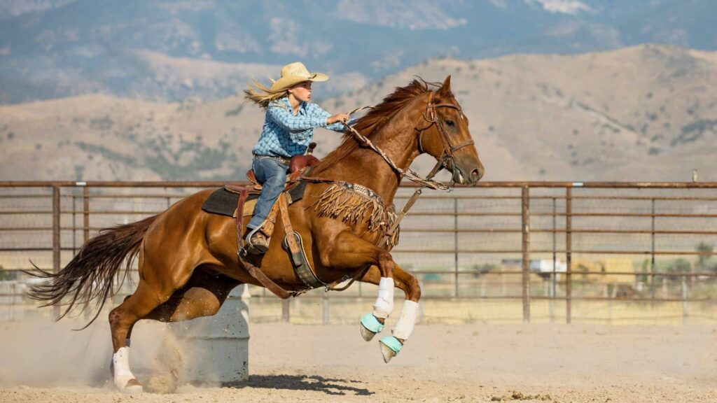 cowgirl riding horse-flying fillies the book