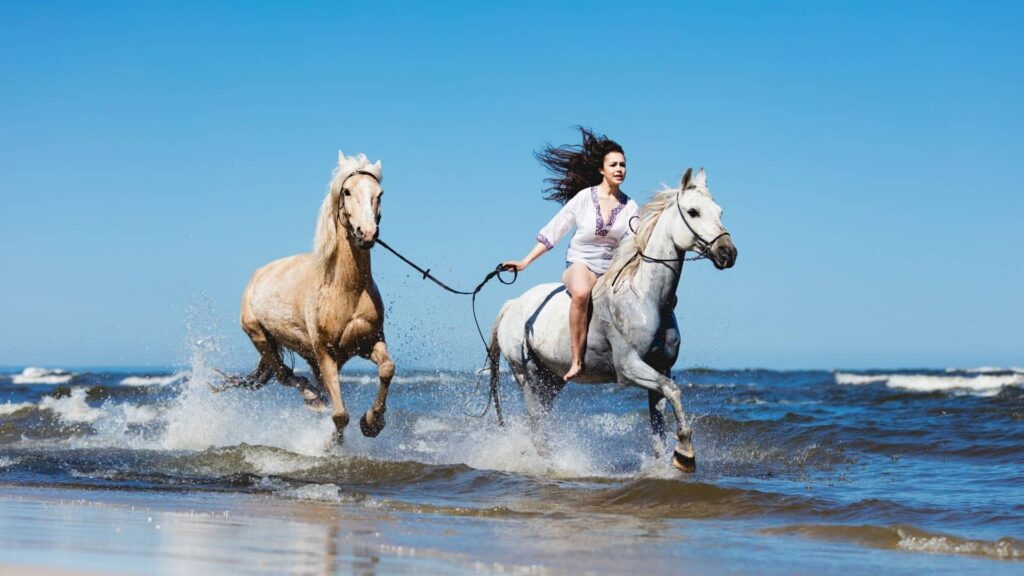 girl riding on horse at beach